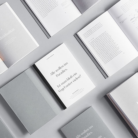 VI��Ƶ���Ҫ��